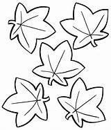 Leaves Coloring Pile Pages Getdrawings sketch template