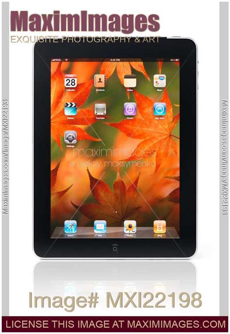 photo  apple ipad  tablet displaying desktop stock image mxi