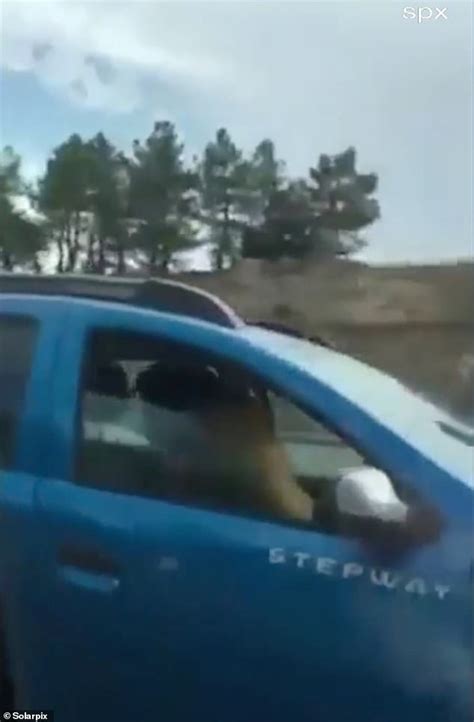 Shocking Moment Couple Are Caught Having Sex While Driving