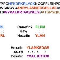 sequence  human fgf   canofin canofin canofin hexafin  scientific