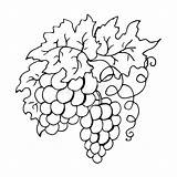 Grapes sketch template