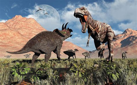 tyrannosaurus rex  triceratops   dinosaur fight