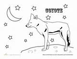 Coloring Joshua Tree National Park Coyote Animals Worksheet Color Designlooter Preschool 270px 54kb Choose Board Sheets Worksheets sketch template
