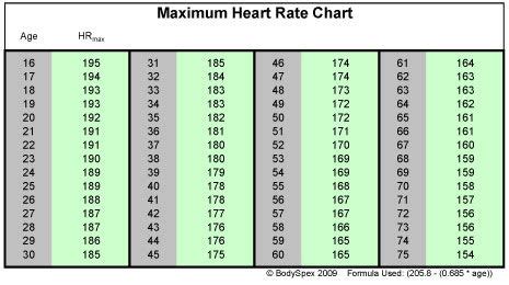 pulse rate printable chart google search fitness pinterest image search weight loss