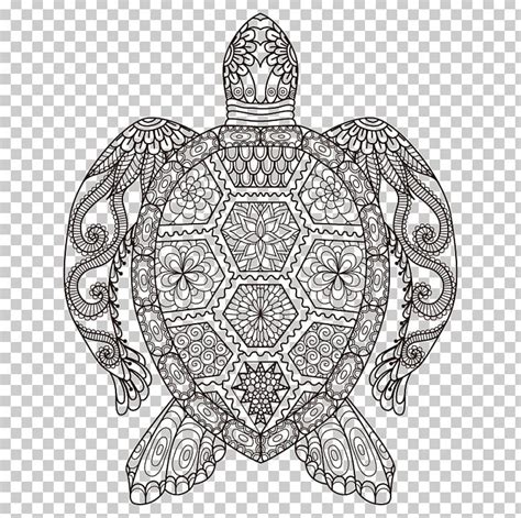 sea turtle coloring book adult drawing png clipart animals area art