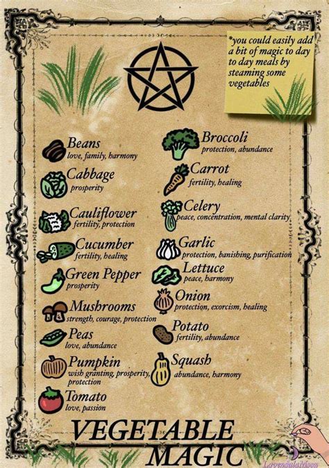 Green Witchcraft Witchcraft Spell Books Wiccan Spell Book Witchcraft