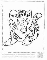Baby Cute Coloring Tiger Pages Tigers Library Clipart Drawings Kids sketch template