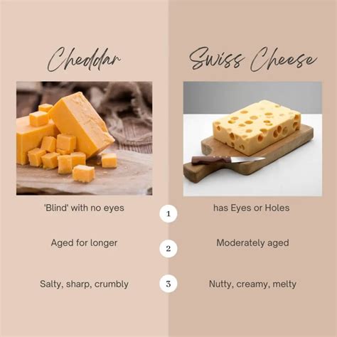 swiss  cheddar whats  difference