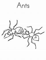 Ants Printable Bestcoloringpagesforkids sketch template