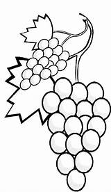 Coloring Grapes Fruits Pages Clipart Popular Vegetables Library sketch template