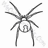 Widow Spider Coloring Pages Draw Tutorial Click Step sketch template