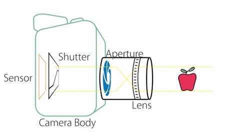 camera basics anatomy   camera youtube
