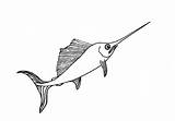 Marlin Draw Fish Easy Step sketch template