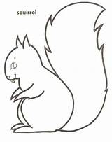 Eekhoorn Ecureuil Squirrel Dieren Colorare Mewarnai Ausmalbild Eichhornchen Bajing Animasi Tekening Coloriages Herfst Bergerak Malvorlage Scoiattoli Colorier Stemmen Animaatjes Afdrukken sketch template