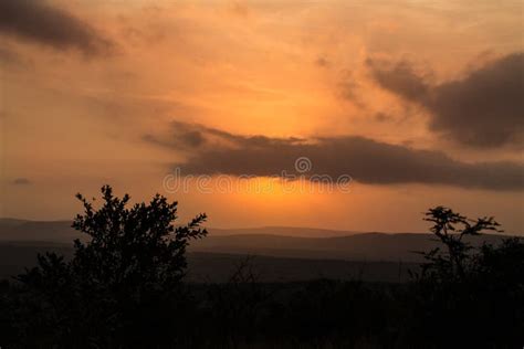 A True South African Bush Sunset Stock Image Image Of African Orange