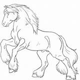 Lineart Pferde Caballos Percherones sketch template
