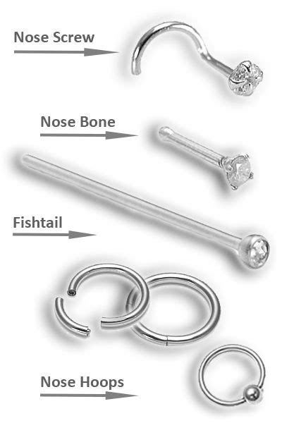 Types Of Nose Piercing Jewelry