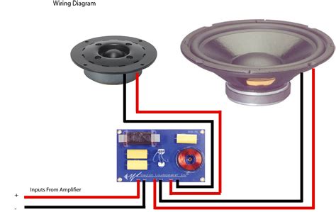 speaker  fender wiring diagram
