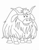 Coloring Yak Pages Cow Highland Kids Colouring Clipart Voluminous Animal Sheets Printable Color Bestcoloringpages Sheet Template Yaks Print Colors Year sketch template