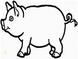 Pig Coloring Wilbur Pages Preschool Divyajanani sketch template