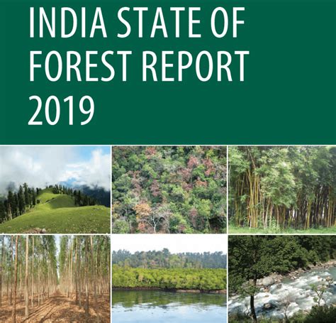 india state  forest report  key findings clearias