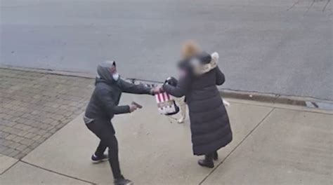 brazen daylight robbery of elderly chicago woman at gunpoint caught on