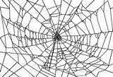 Spinne Spinnen Cool2bkids Spinnennetz sketch template