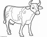 Vacas Mucche Cows Animados Cartonionline sketch template