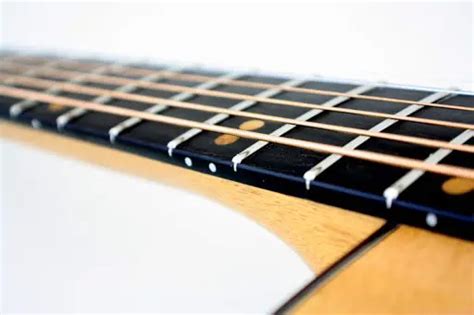 fretboard types      guitar skills planet