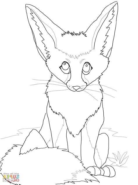 cute baby fox coloring pages  getcoloringscom  printable
