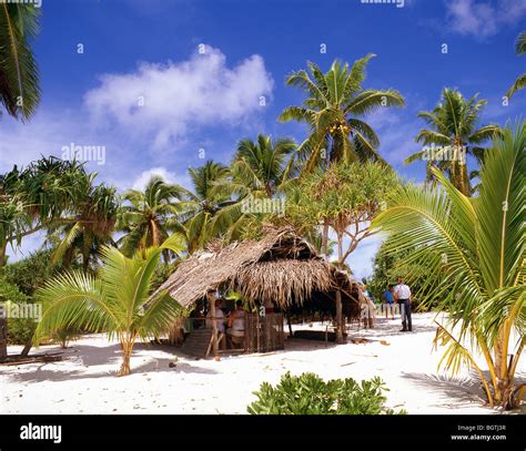 straw hut  tropical beach aitutaki atoll cook islands south pacific ocean stock photo alamy