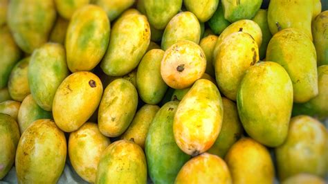 pakistani mango exports  china  increase  summer produce report