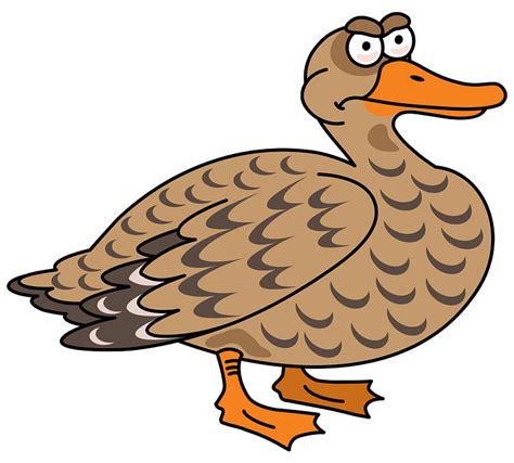 vectormenez clipart clipart duck images