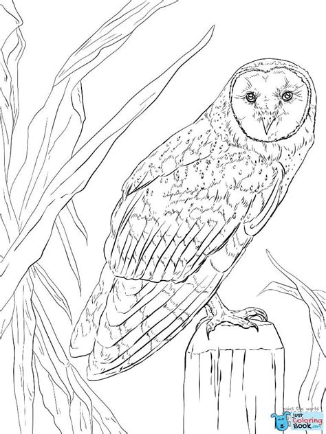 owls coloring pages  coloring pages intended  polar owl sitting