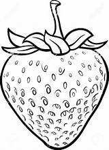 Strawberry Outline Drawing Clipart Getdrawings sketch template