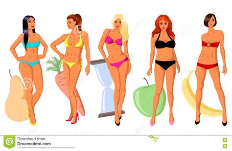 5 Types Of Women S Figure Stock Vector Illustration Of