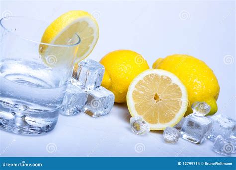 lemon drink stock photo image  freshness cold party