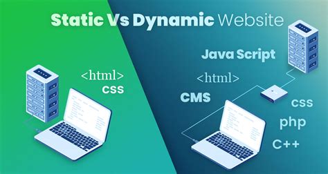 difference  static  dynamic website   static website   dynamic website