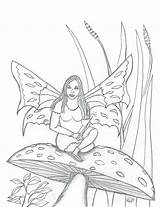 Mushroom Fairy Coloring Cammie Pages Robin Great sketch template