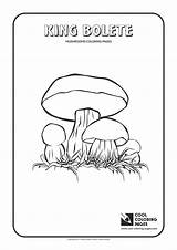 Coloring Pages Mushroom Cool Bolete King Mushrooms Print Getcolorings sketch template