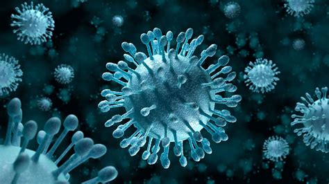 deadly viruses captured  ice  surface  affect