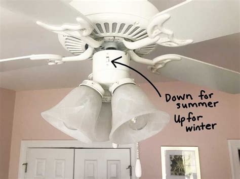 learn   change  ceiling fan direction     save  money  energy