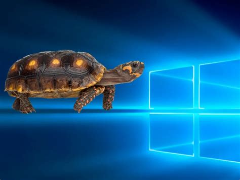 windows  feature updates painfully slow relief   sight zdnet
