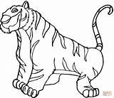Tiger Coloring Pages sketch template