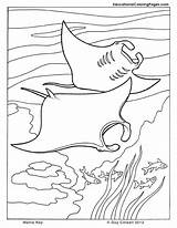 Coloring Pages Sea Ocean Printable Stingray Ray Kids Manta Book Colouring Seashore Animal Life Cuttlefish Clipart Color Animals Sheets Getcolorings sketch template