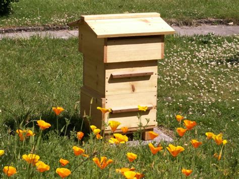 Natural Beekeeping Pure Honey Made At Home Landscape