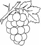 Trauben Ausdrucken Supercoloring Grape sketch template