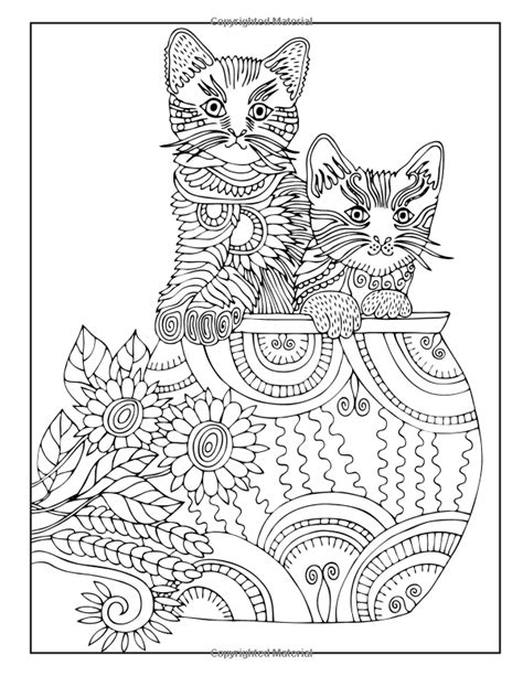Cat Coloring Book An Adult Coloring Book For