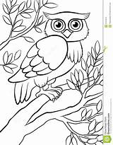 Owl Baum Eule Wald Nette Vriendelijke Bos Sitzt Gufo Sveglio Siede Foresta Albero Sull Gentile раскраски категории все из sketch template