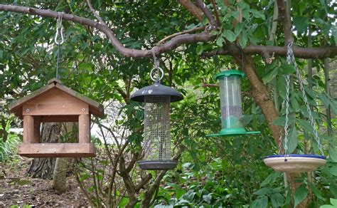 types  bird feeders  wildlife